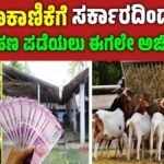 Goat farming business loan